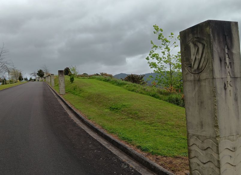 Hinuera Carvings for Waikato Tainui