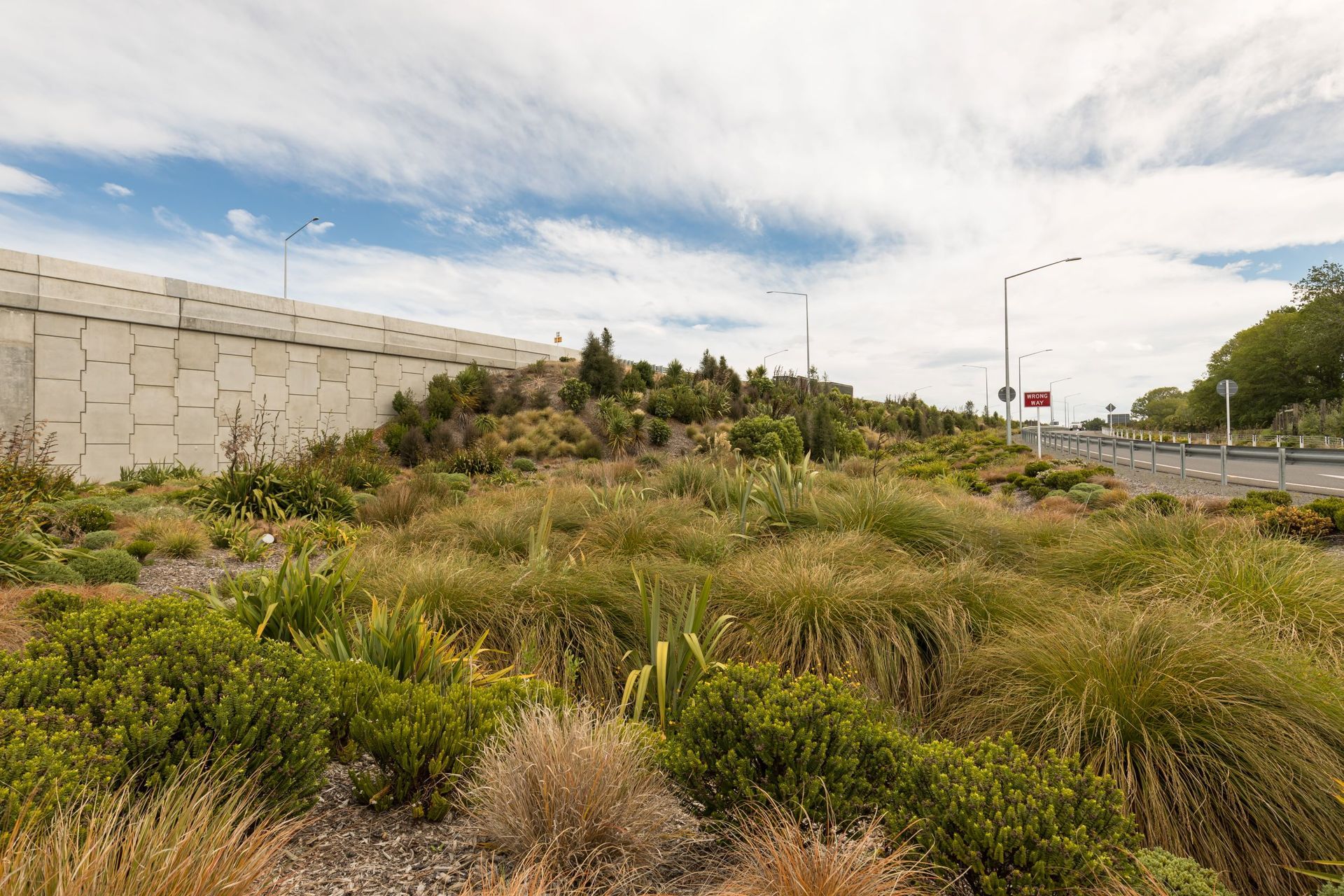 Western Belfast Bypass Planting, Christchurch