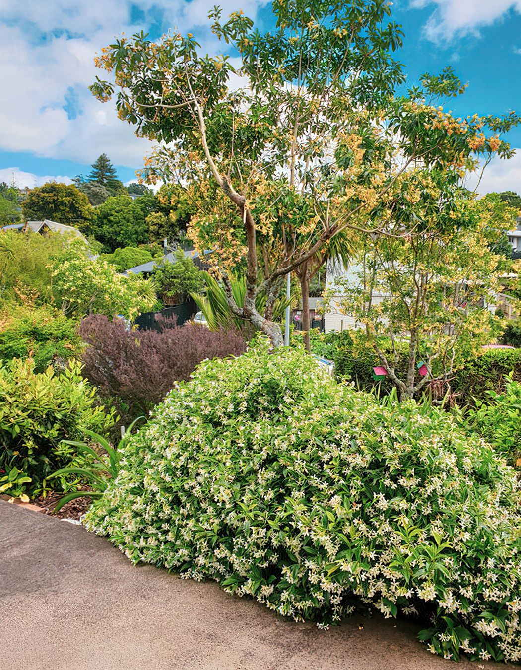 Greenvalley Dementia Garden
