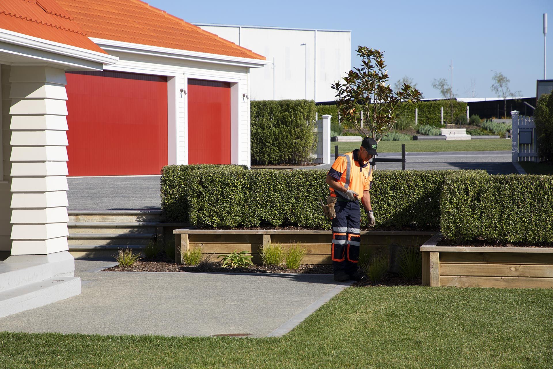 hobsonville-point-commercial-garden-maintenance-182A4382.jpg