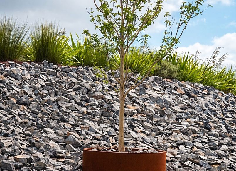 Mānawa Bay — Commercial Landscape Planters