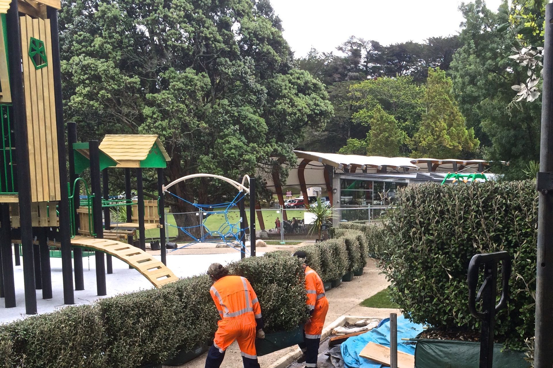 THE PROCESS - Living Walls™ instant hedges add a natural barrier, softening the look and feel of the required playground fencing.