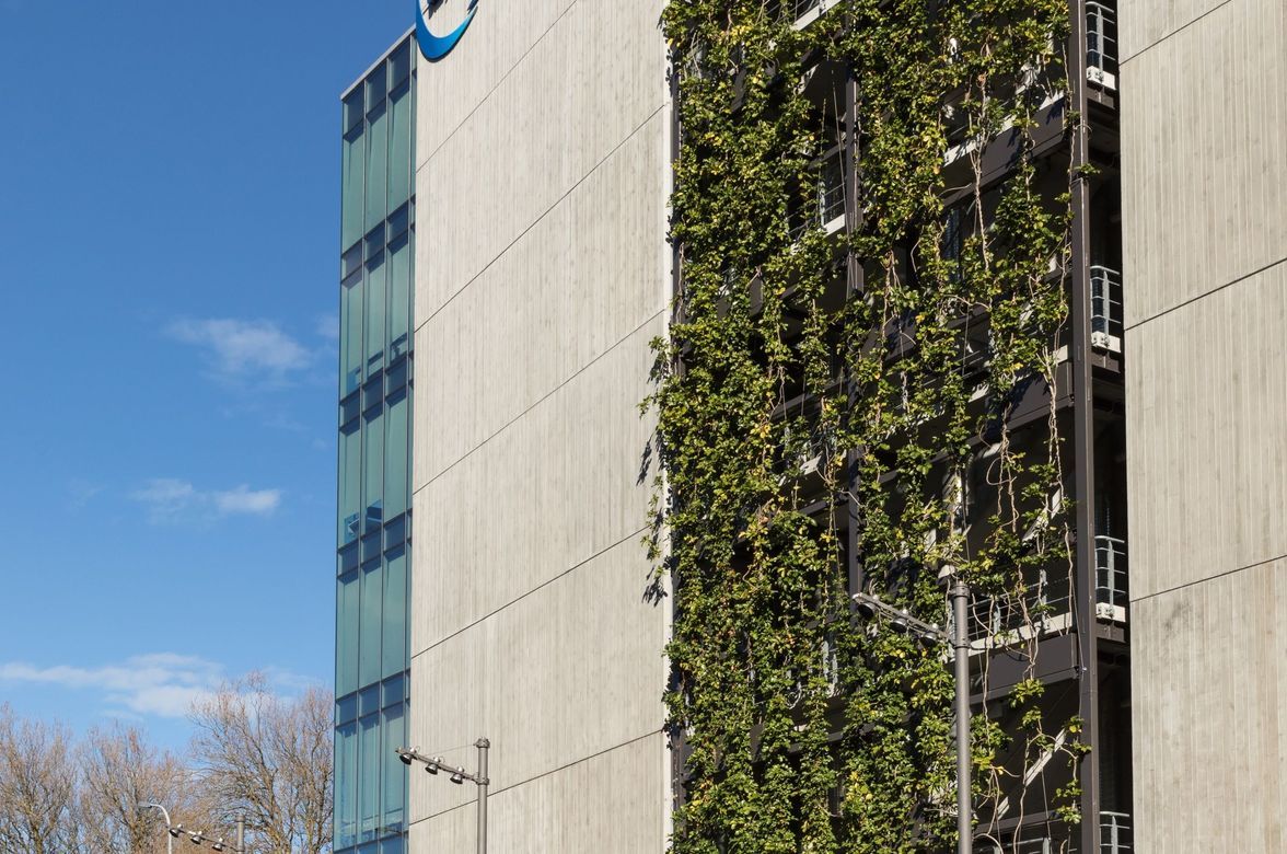 Fonterra - foliage growing wires and planter boxes