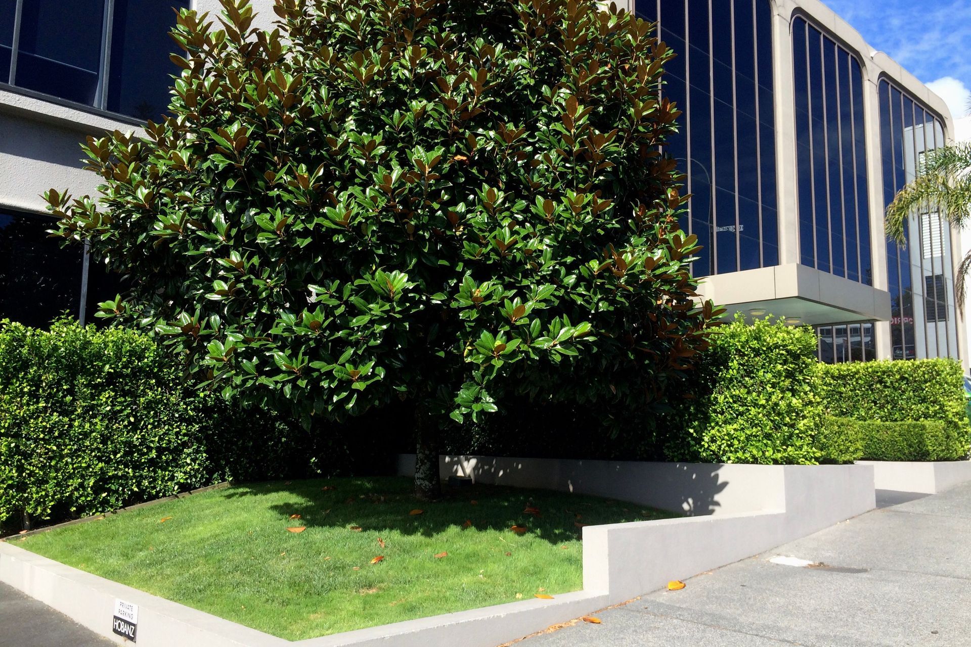 OUTCOME - Living Walls™ instant hedges add beauty and softness to the concrete hardscaping.
