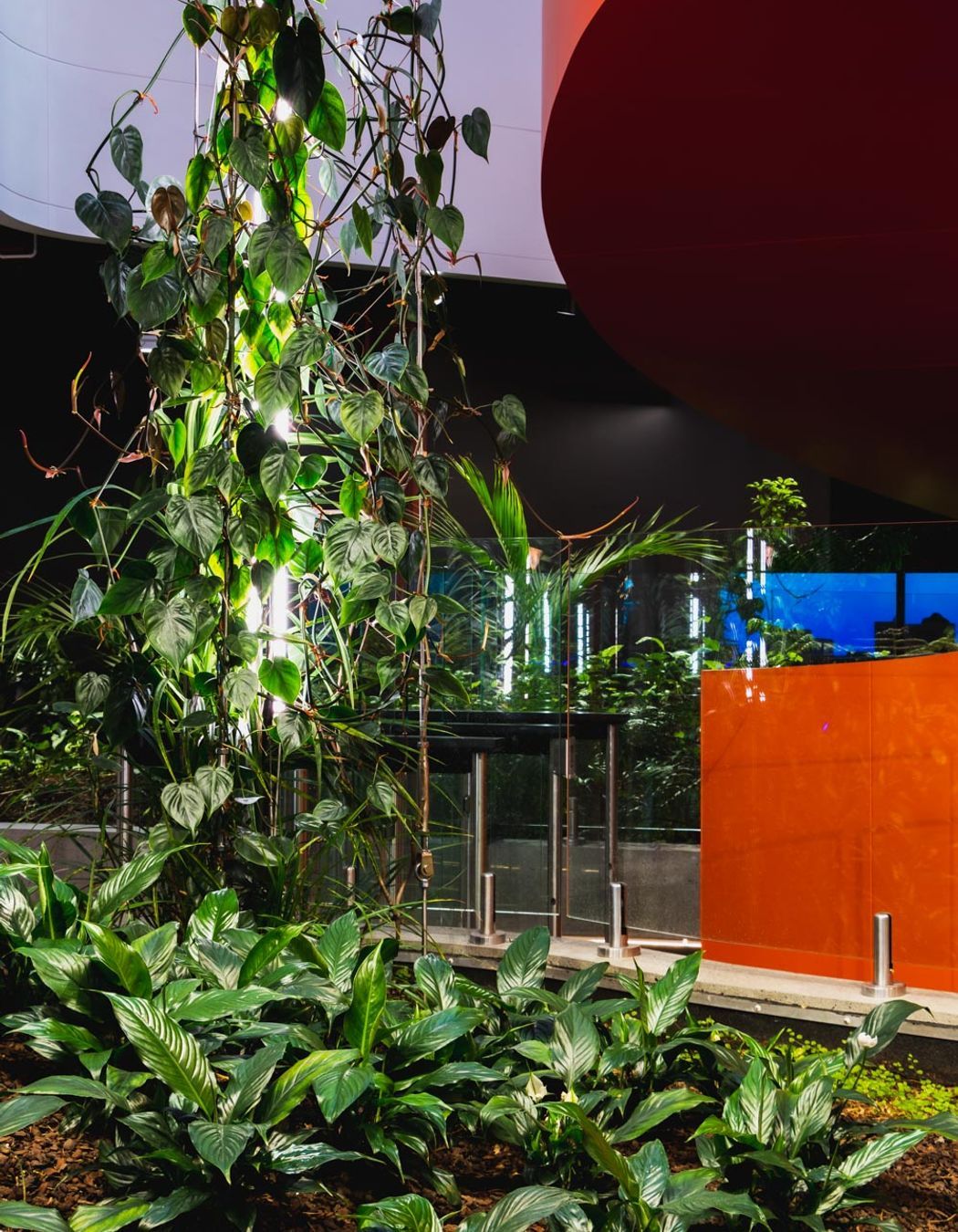 B:Hive, Smales Farm, Auckland