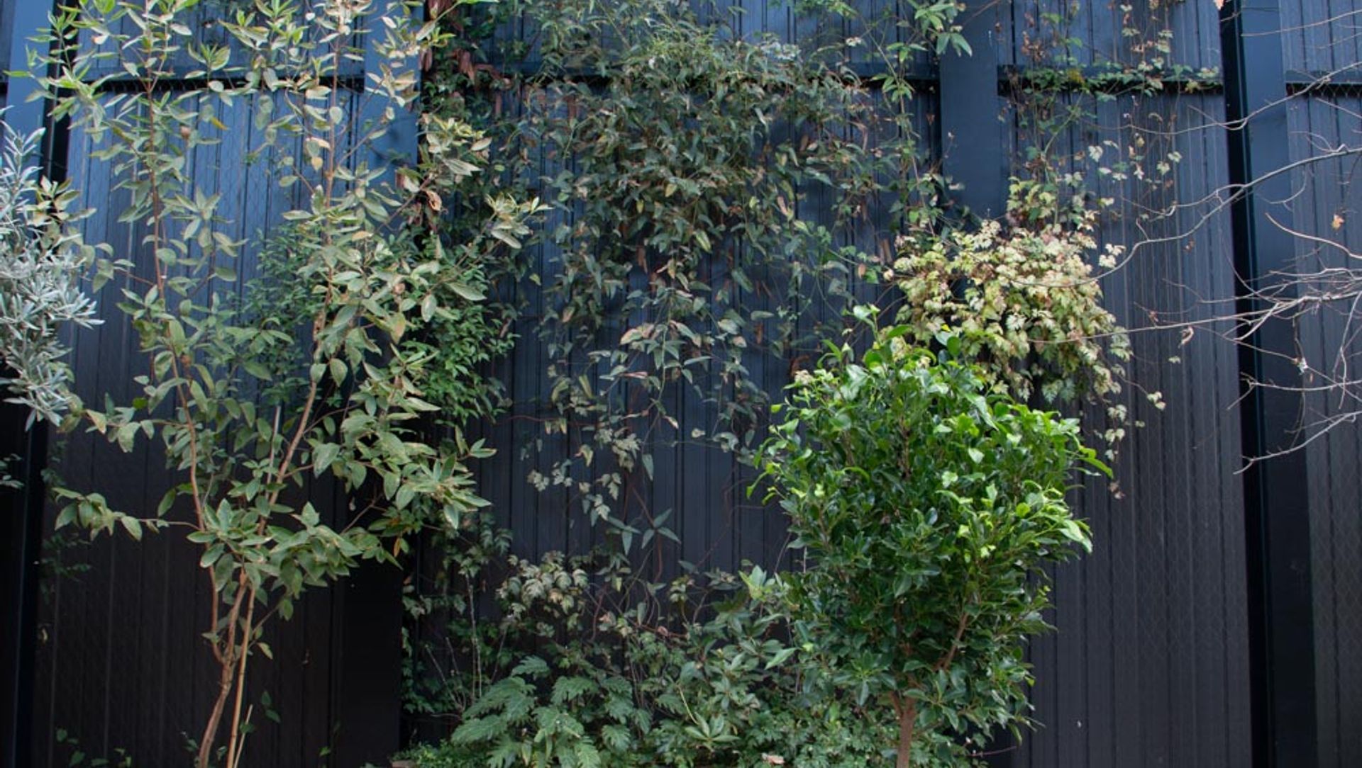 The Glasshouse tensile mesh foliage growing support banner