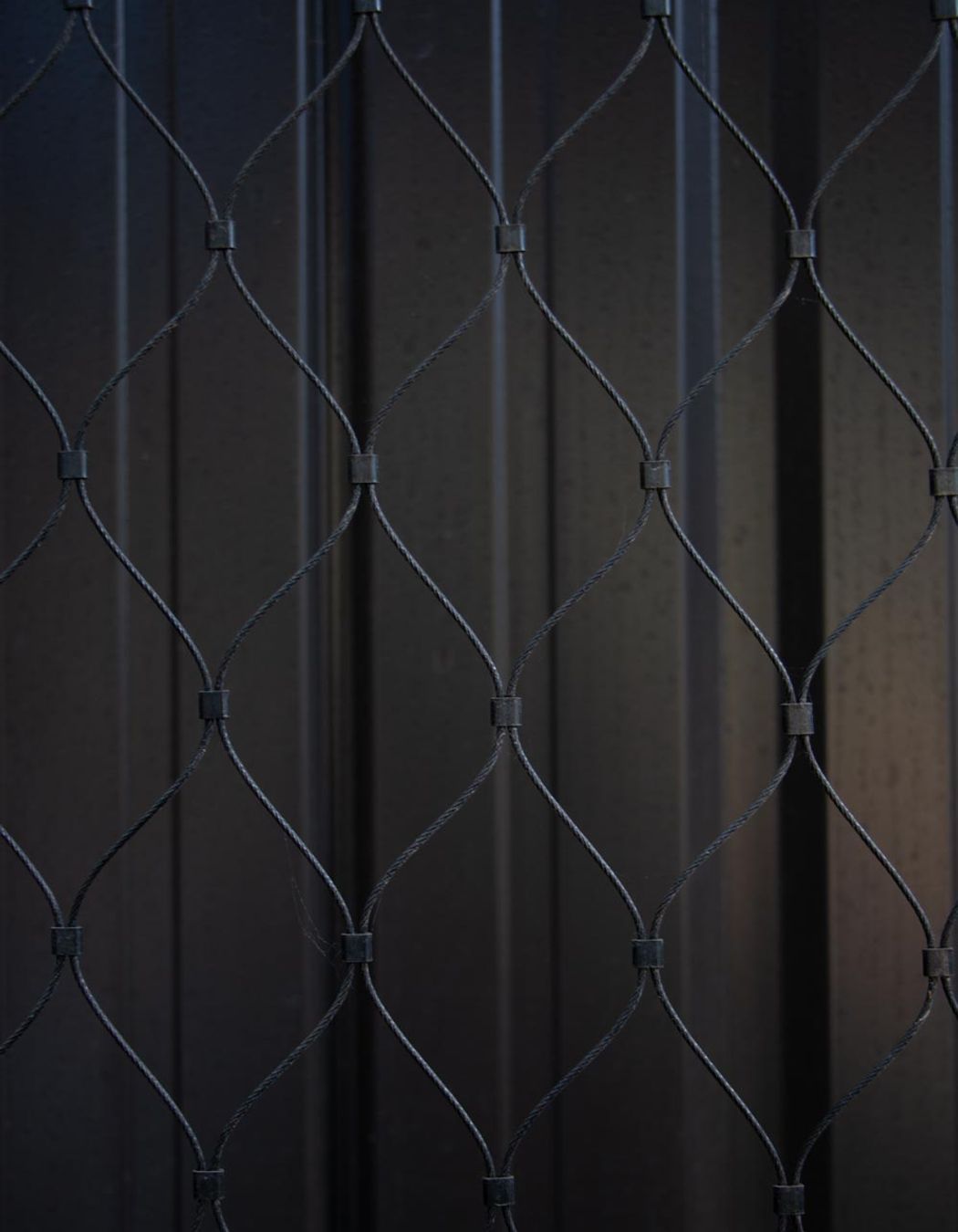 The Glasshouse tensile mesh foliage growing support