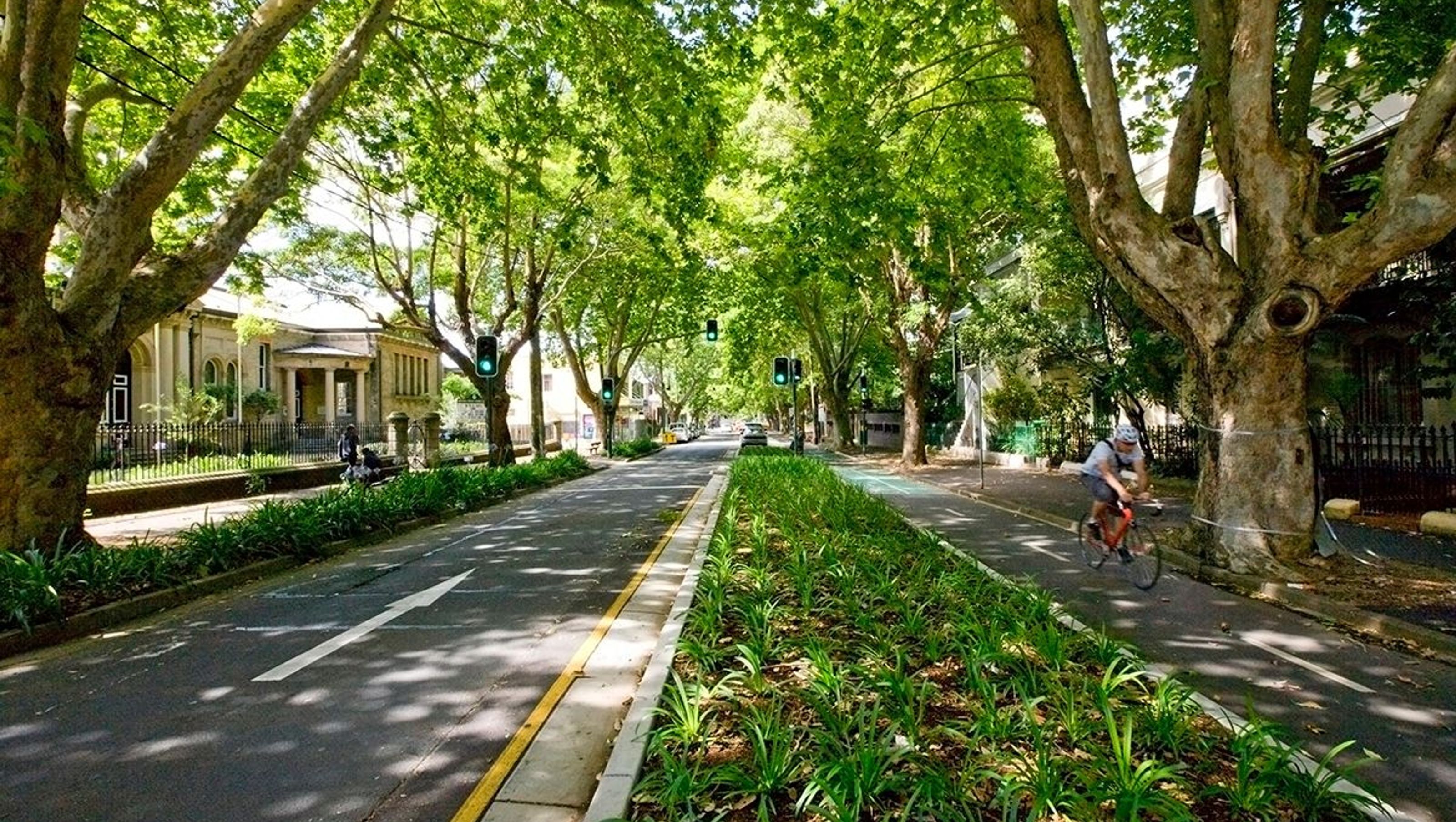 Bourke Street Cycleway