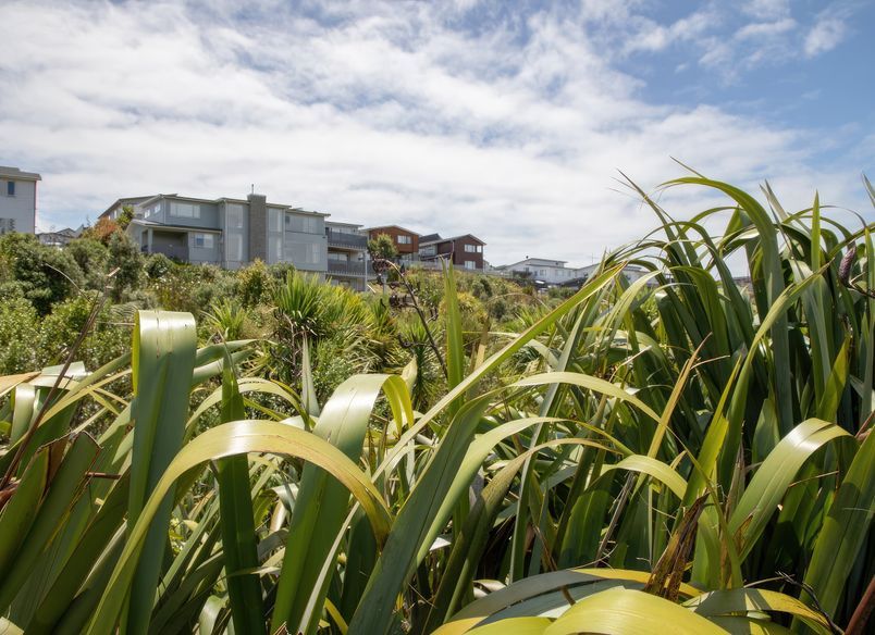 The end result of what Signature Plants has grown