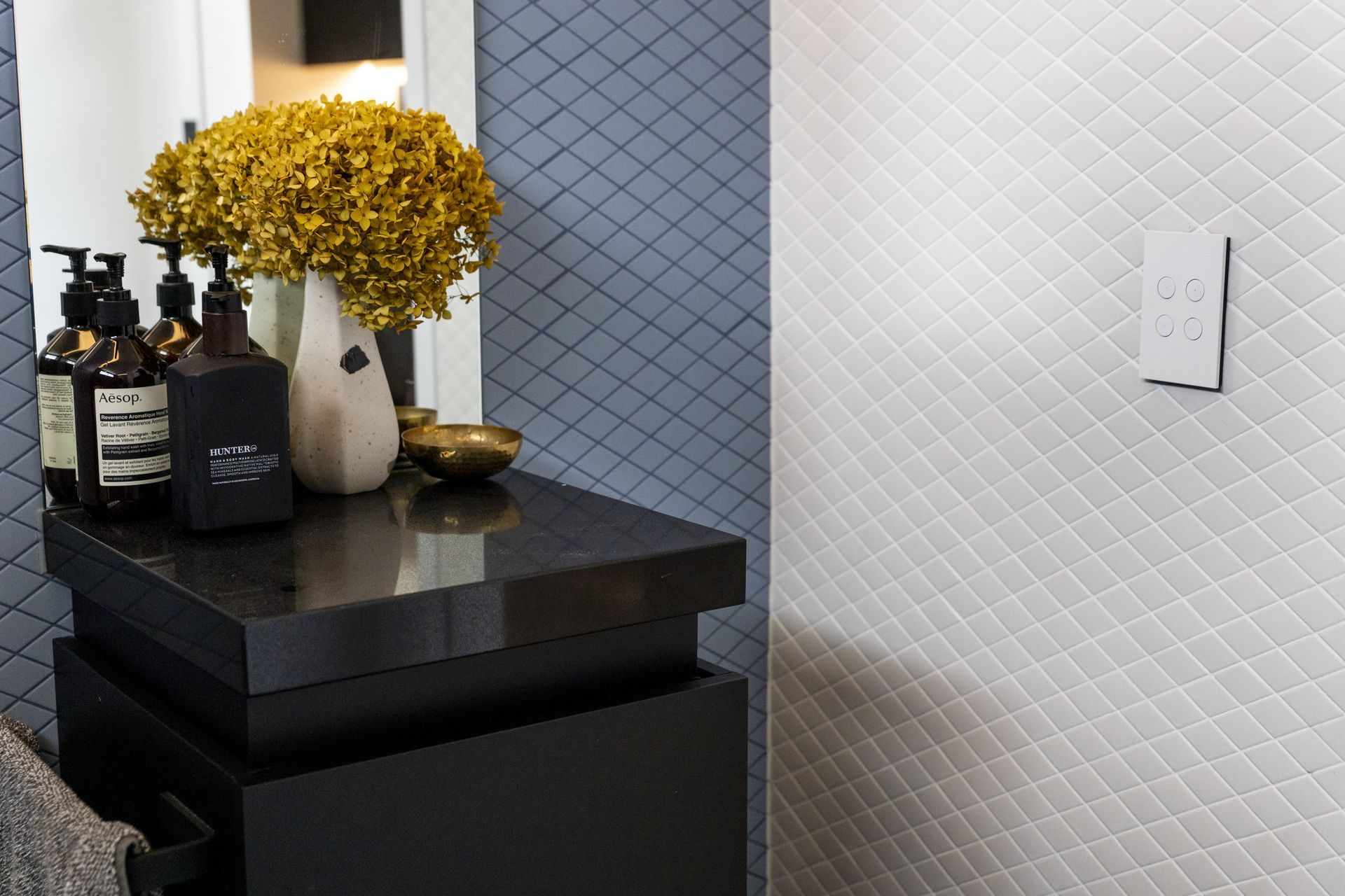 Guy's dream smart home