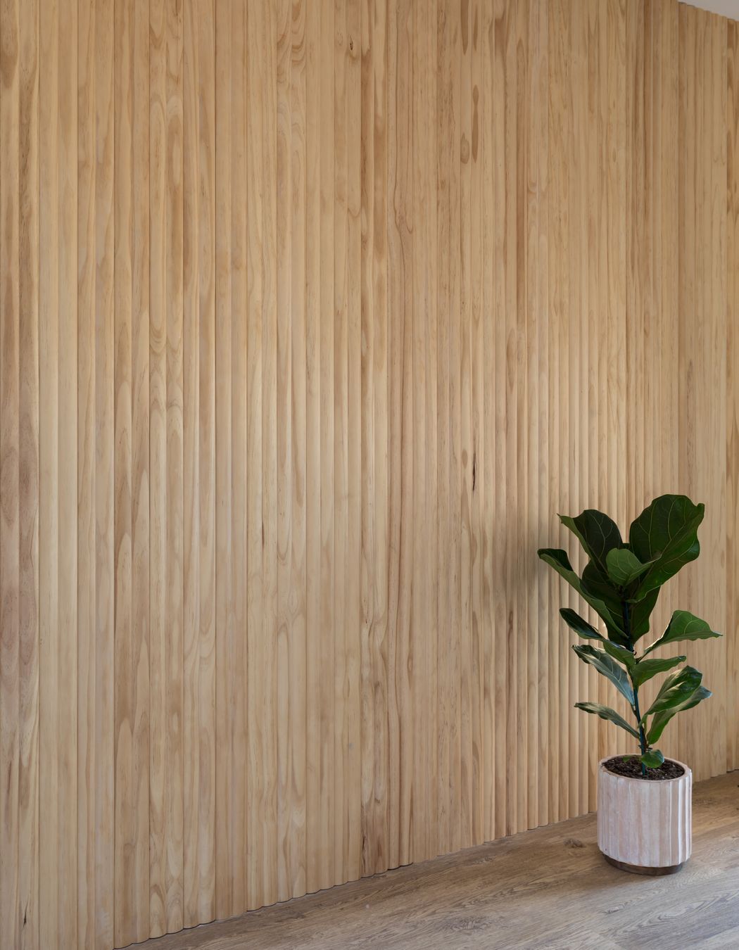 Minimalistic Muse, Auckland