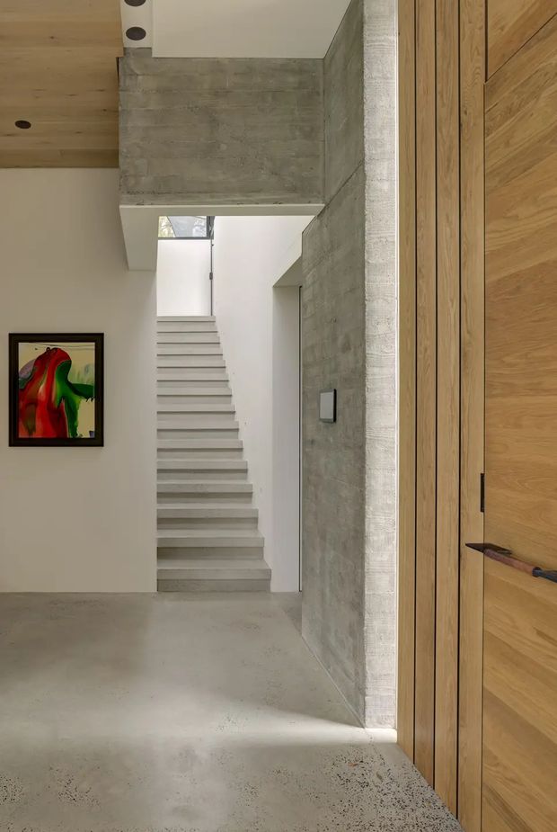 A minimalist contemporary interior entry hall with a polished concrete floor, exposed concrete walls and a sculptural open staircase leading upward. A large timber pivot door and matching timber ceiling panel add warmth, while a framed abstract artwork provides a colourful accent. The space is bright, restrained and architecturally focused.