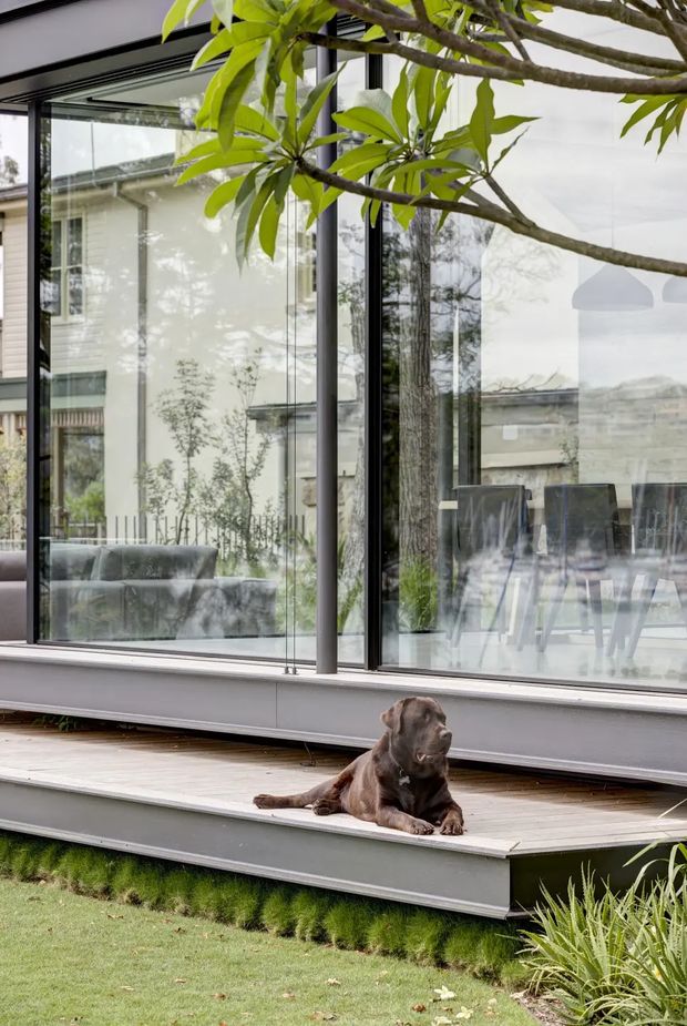 A contemporary glazed pavilion or enclosed living area opens onto a timber deck and landscaped lawn. Full-height black-framed glass walls reveal a sofa and dining area inside, while a dog rests on the deck beneath overhanging tree branches. The scene emphasizes indoor-outdoor connection, extensive glazing, and a calm residential garden setting.