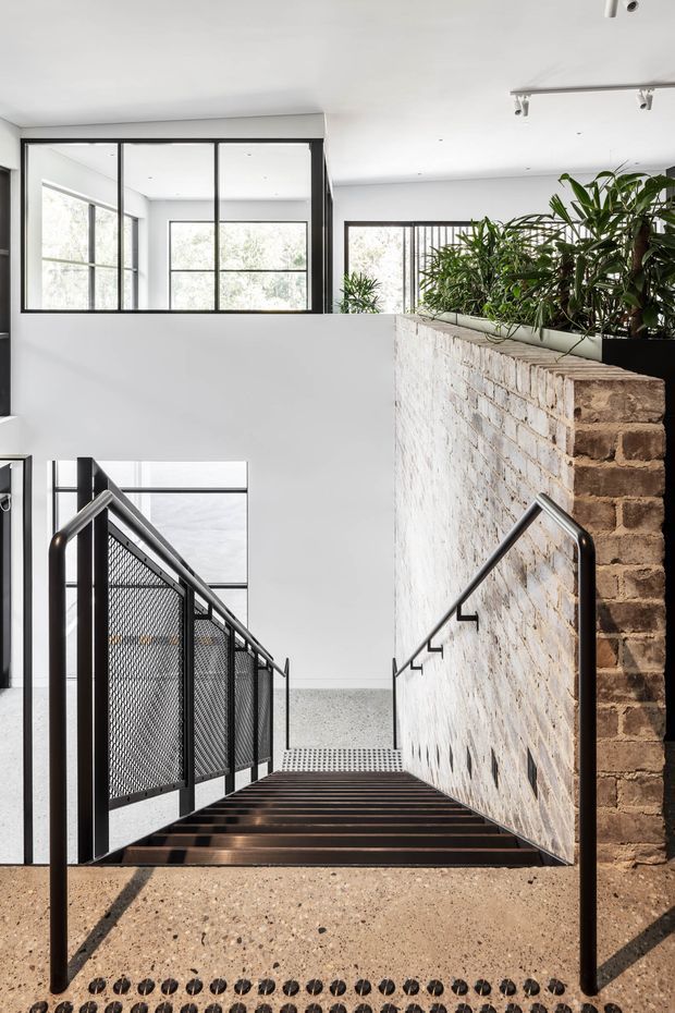 A bright contemporary interior stairway descends beside an exposed whitewashed brick wall. The stair has dark timber treads, black metal handrails, and black mesh balustrading, with terrazzo-style flooring and large black-framed windows. Indoor plants line the upper landing, adding greenery to the otherwise monochromatic space.