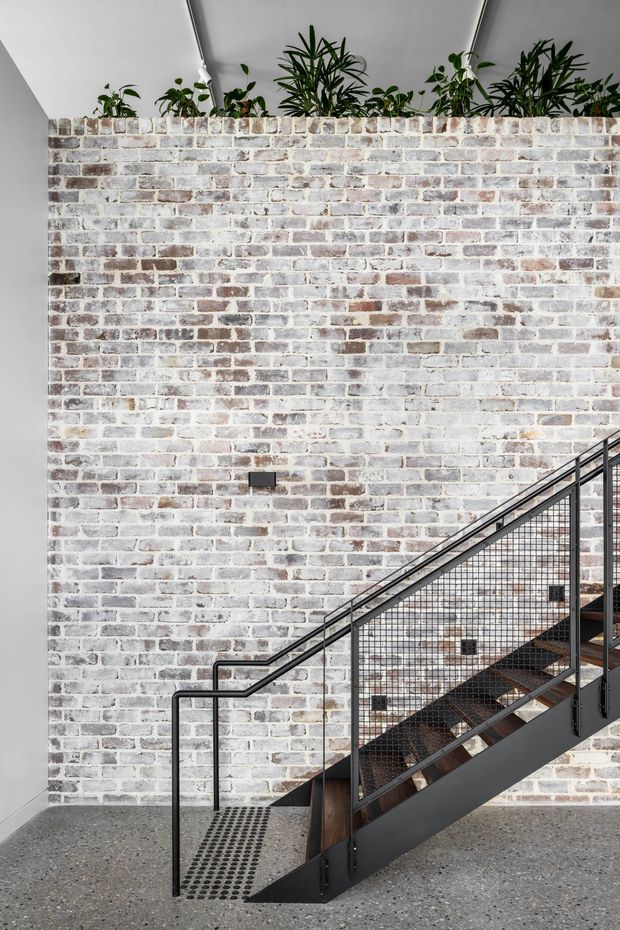 Interior stairway with a black metal staircase, mesh balustrade and dark timber treads set against a whitewashed exposed brick wall. Potted plants line the top of the wall, and the space has a high, bright ceiling with a polished concrete or terrazzo-like floor.