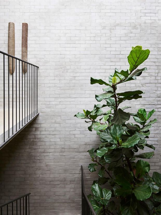 Interior view of a tall stairwell with a white-painted exposed brick wall, black metal stair balustrades, and a large leafy indoor tree. Two slim woven wall decorations add a subtle natural accent. The composition emphasizes the vertical circulation space and layered stair flights.