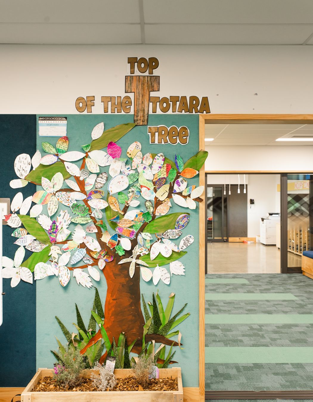 Grey Lynn School - Te Rae O Kawharu