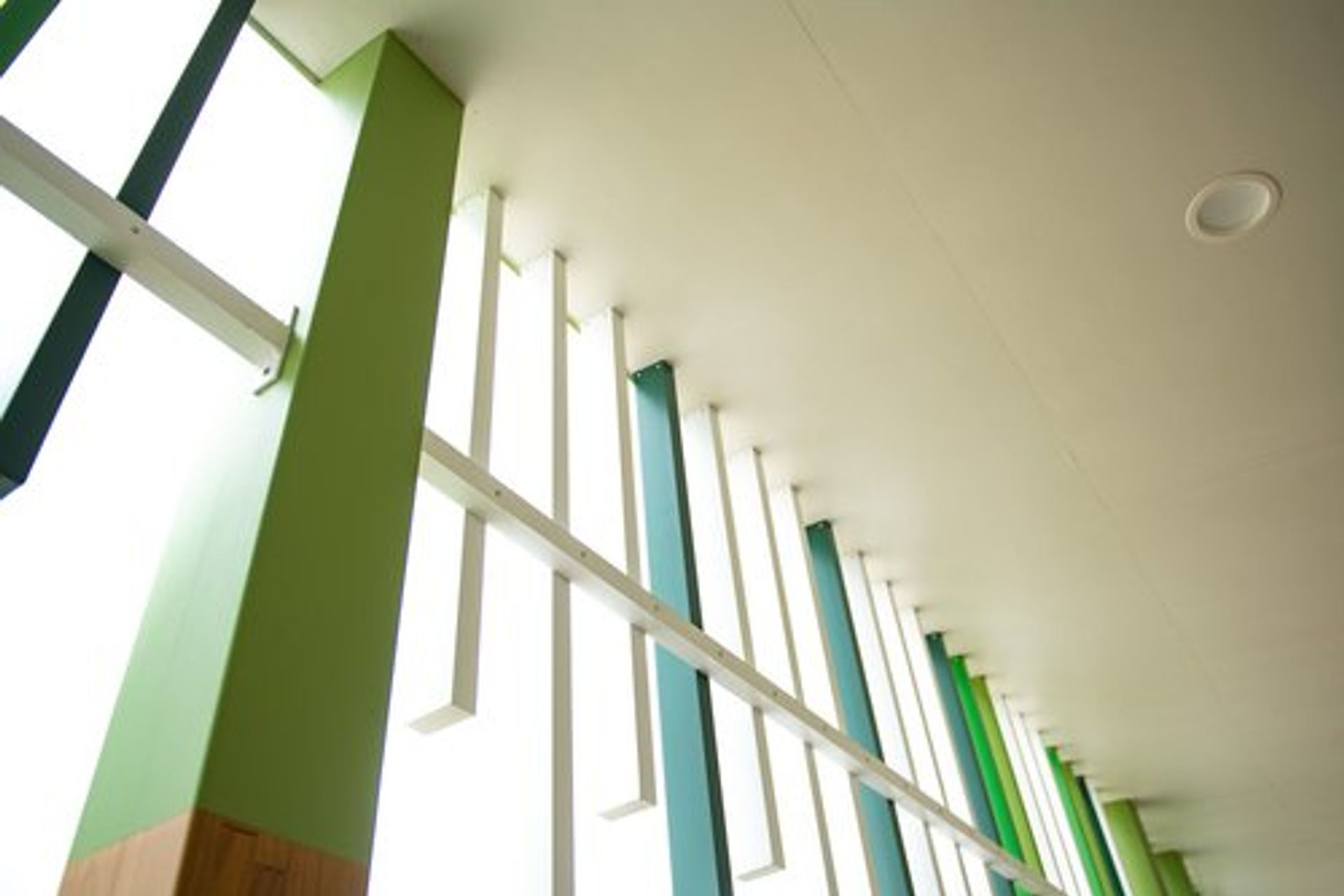 Project Motueka Kindy