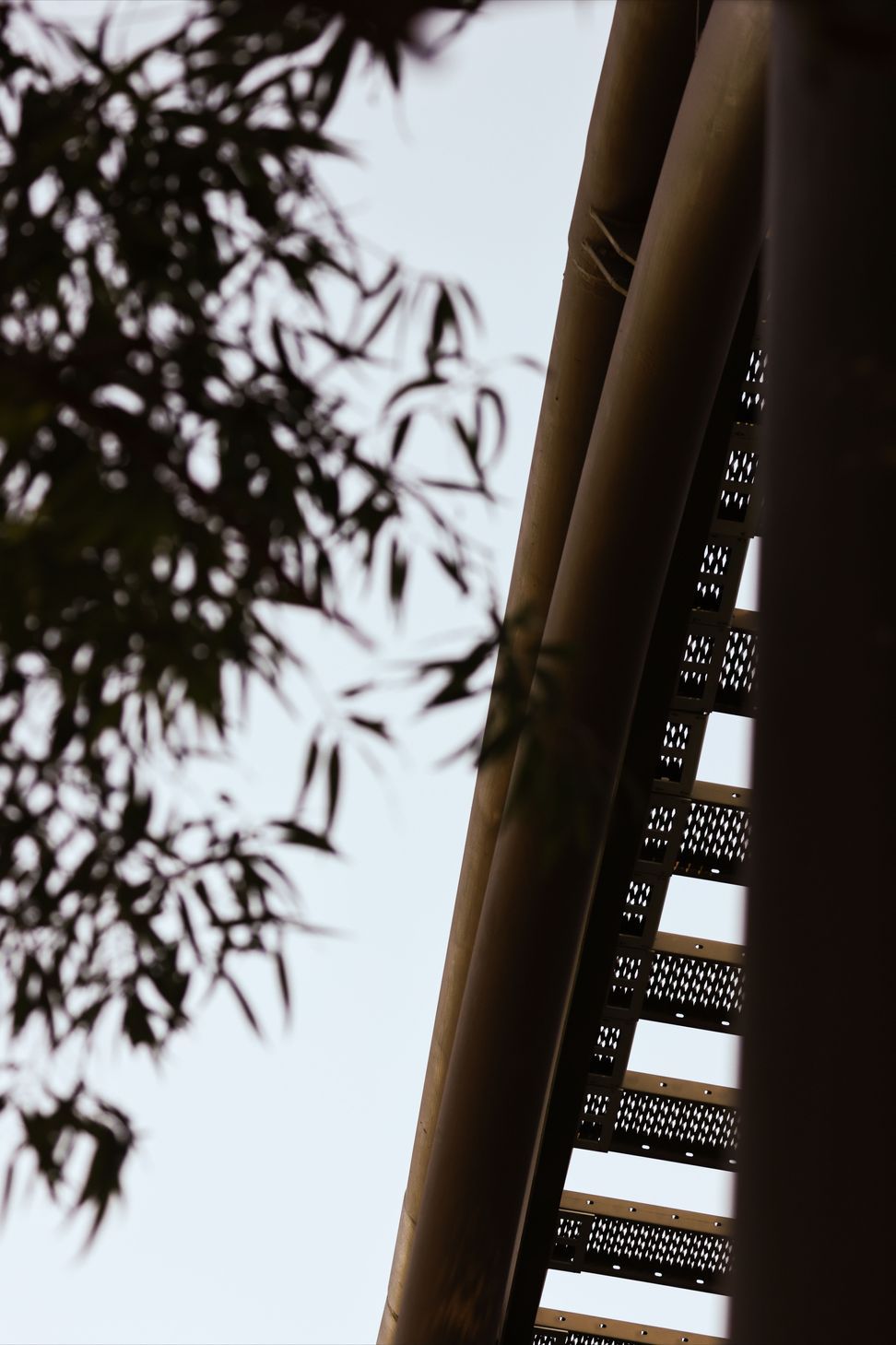1S7A6577-ap-compressed-v2.jpg