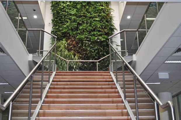 A wide interior stairway in a contemporary commercial atrium, with broad timber-finished steps, stainless-steel and glass balustrades, and a tall living green wall rising behind the central landing. Office-like floor-to-ceiling glazing, suspended ceiling panels, and recessed lighting are visible on both sides.