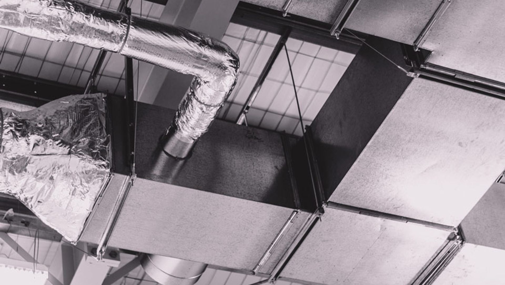 Elastomer Products Limited - Christchurch banner