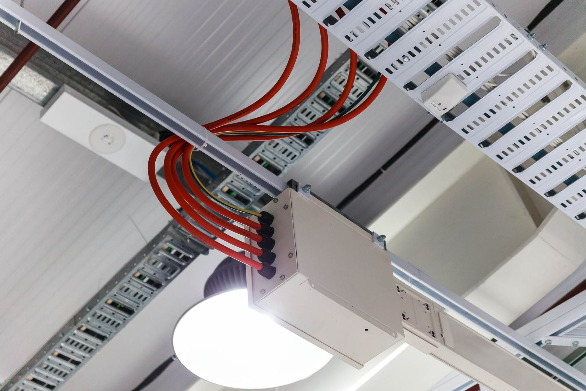 TE Connectivity - Christchurch