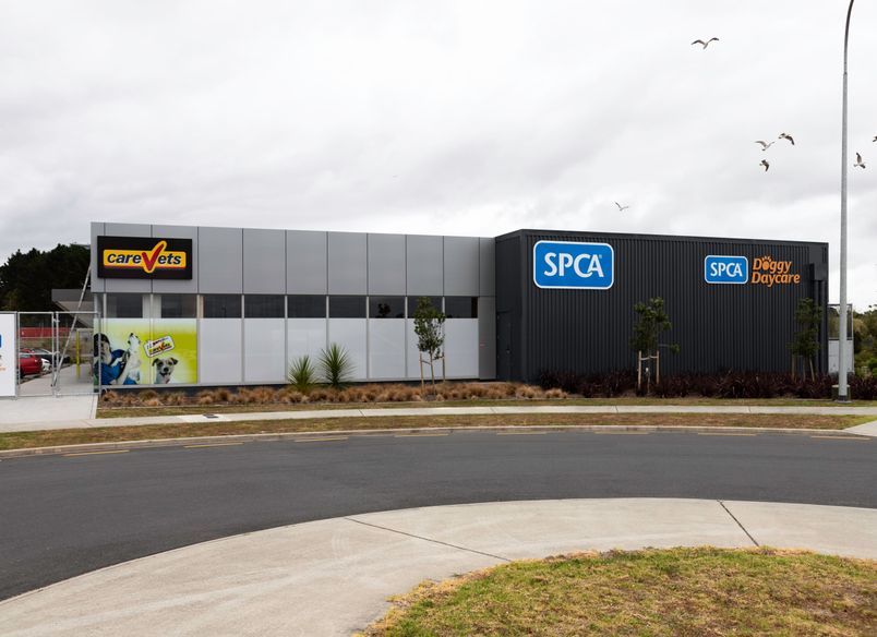 SPCA Hobsonville