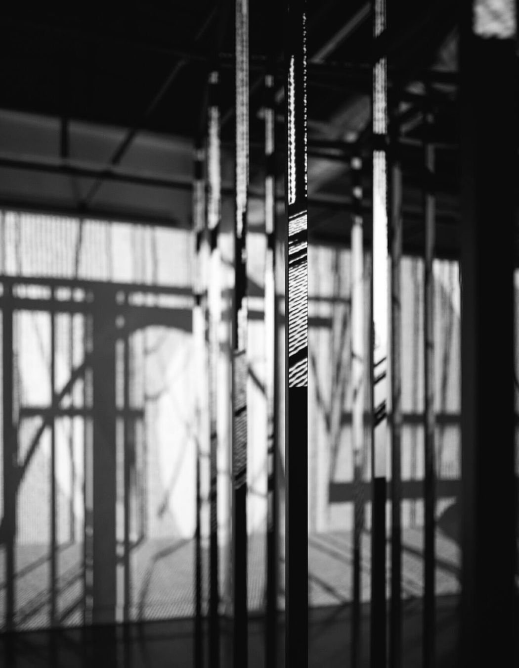 Penumbral Reflections