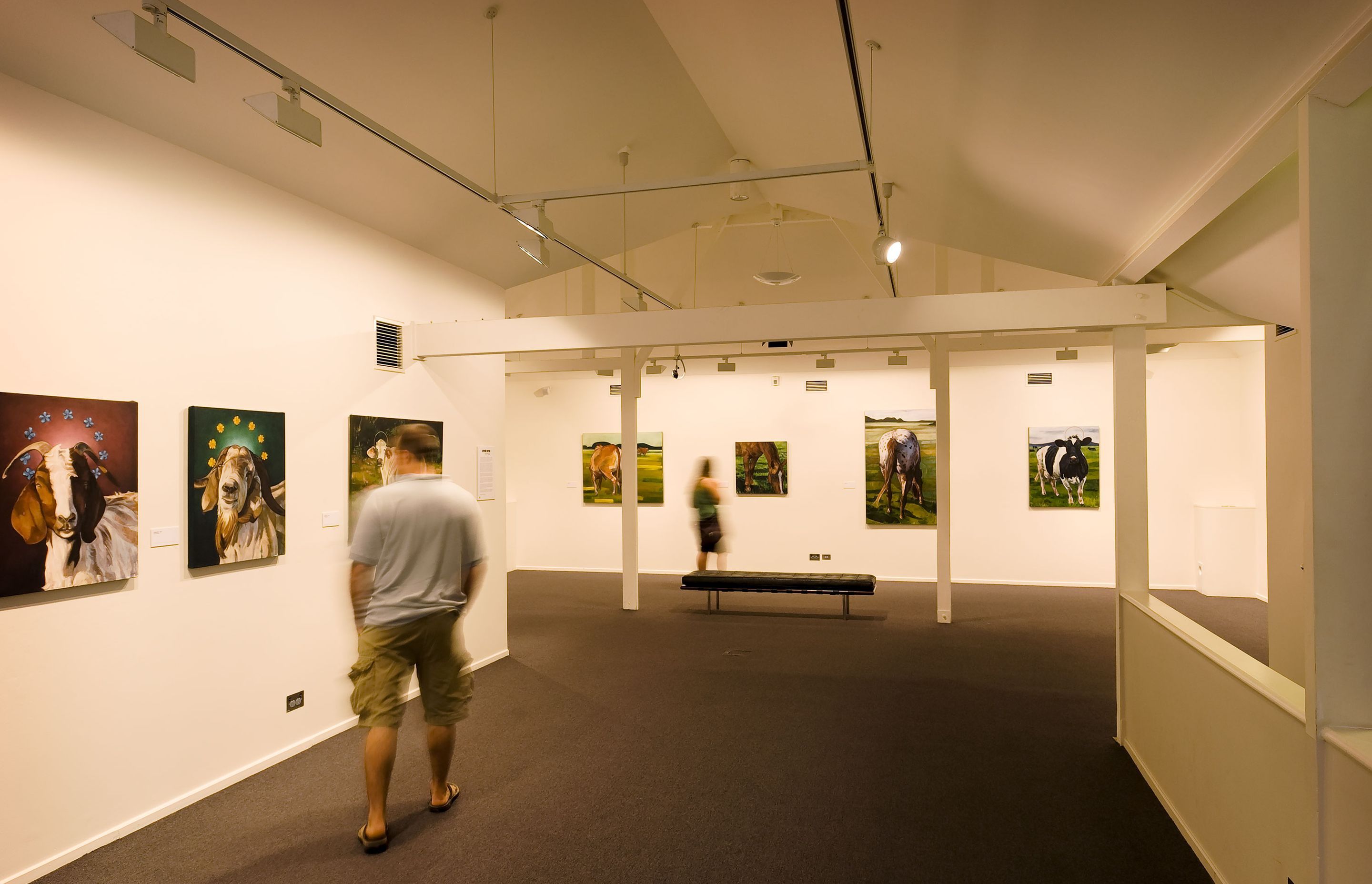Cairns Art Gallery by TPG Architects ArchiPro AU