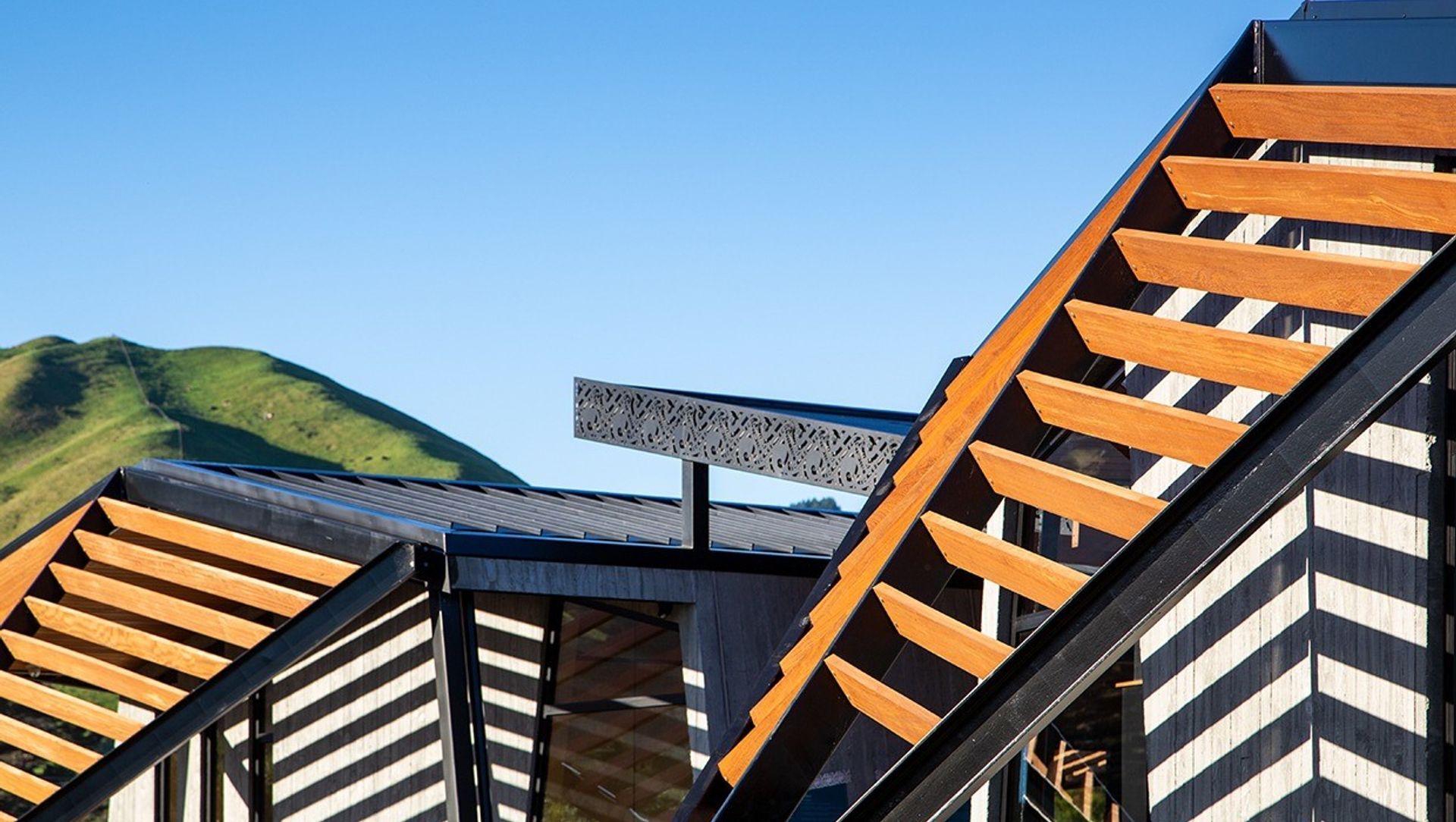 Project Timber: Ramaroa, Kapiti Coast - August 2020 banner