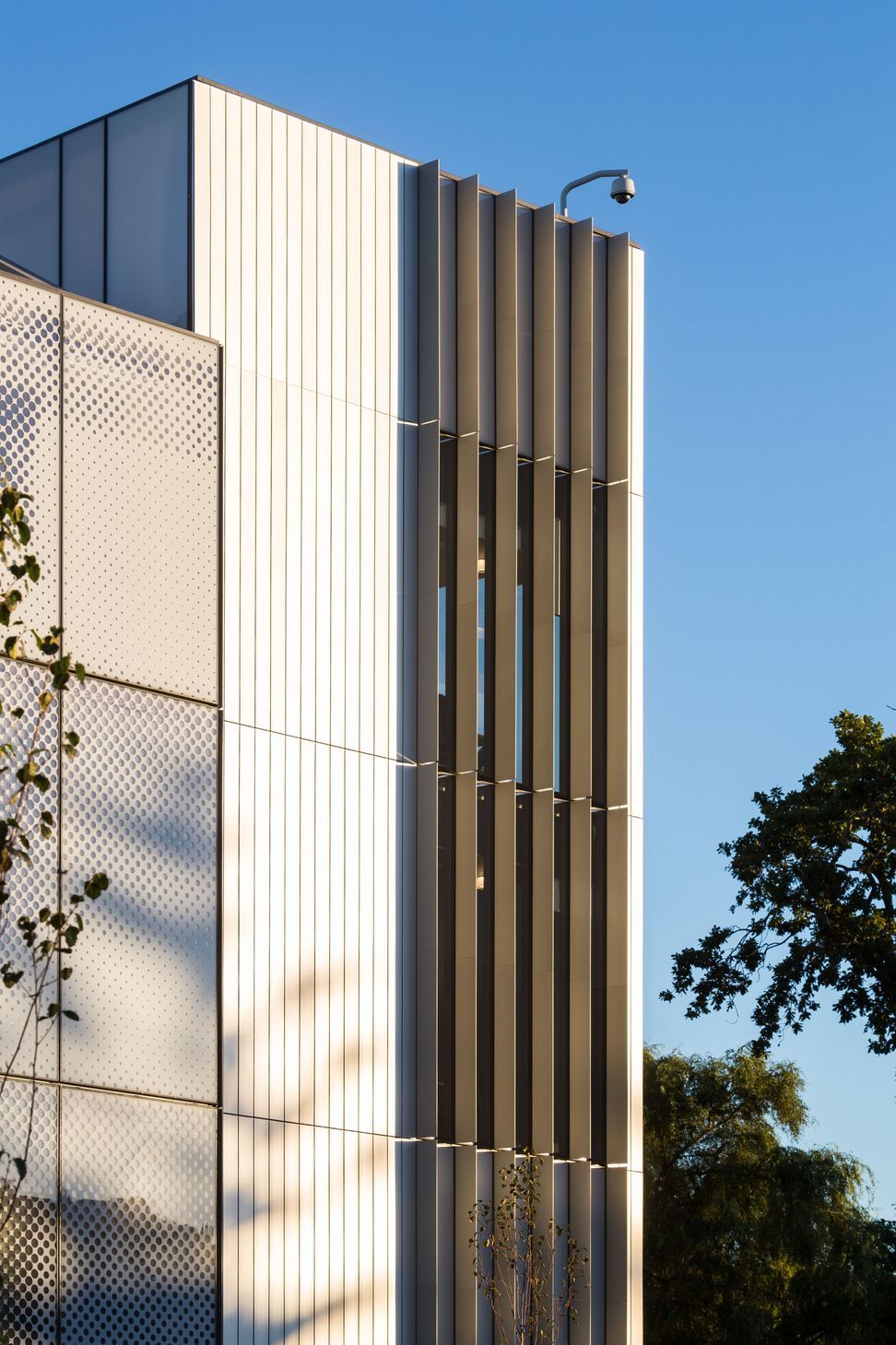 HCC531.jpg