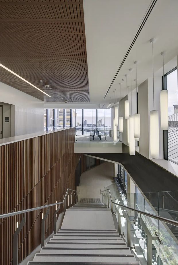 A contemporary multi-level interior circulation space with a broad staircase descending through an open atrium. The stair is bordered by glass balustrades and metal handrails, with a dramatic suspended walkway and numerous elongated pendant lights along the right side. A slatted timber feature wall and matching timber-grille ceiling contrast with white walls, expansive glazing, and dark flooring. The space appears institutional or commercial, with an upper-level seating or work area visible beyond the glass.