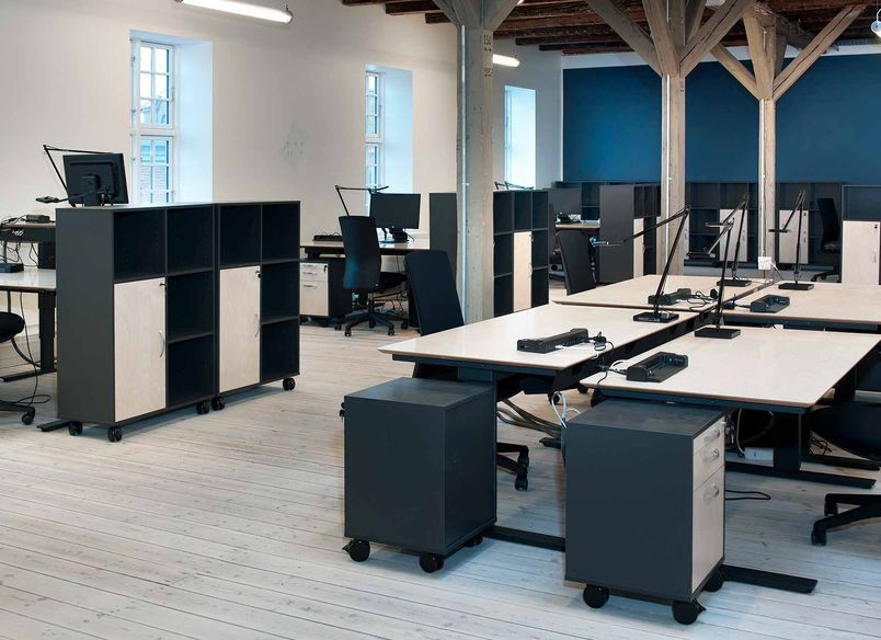 The Danish Maritime Authority