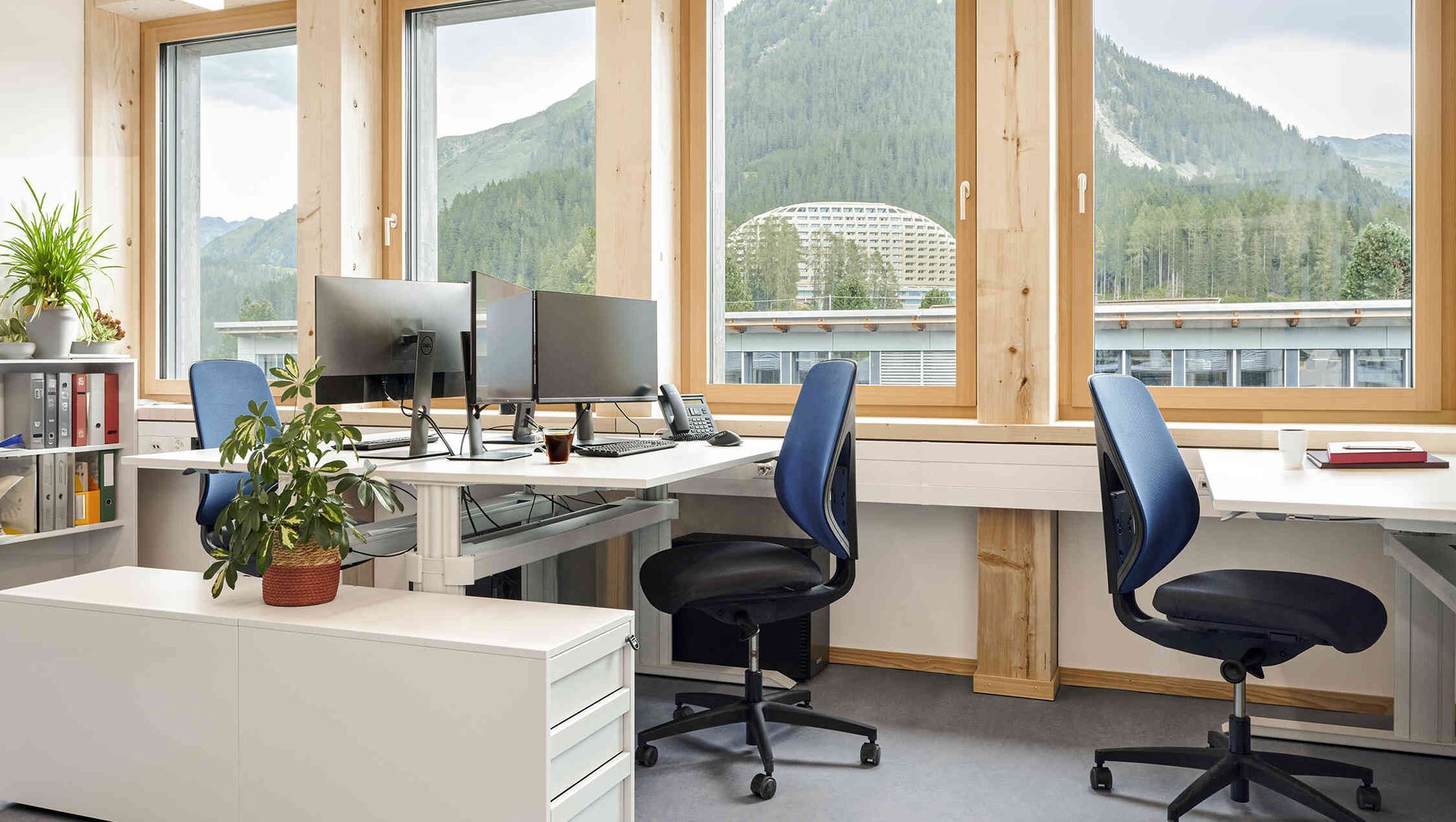 WSL Institute for Snow and Avalanche Research (SLF) banner