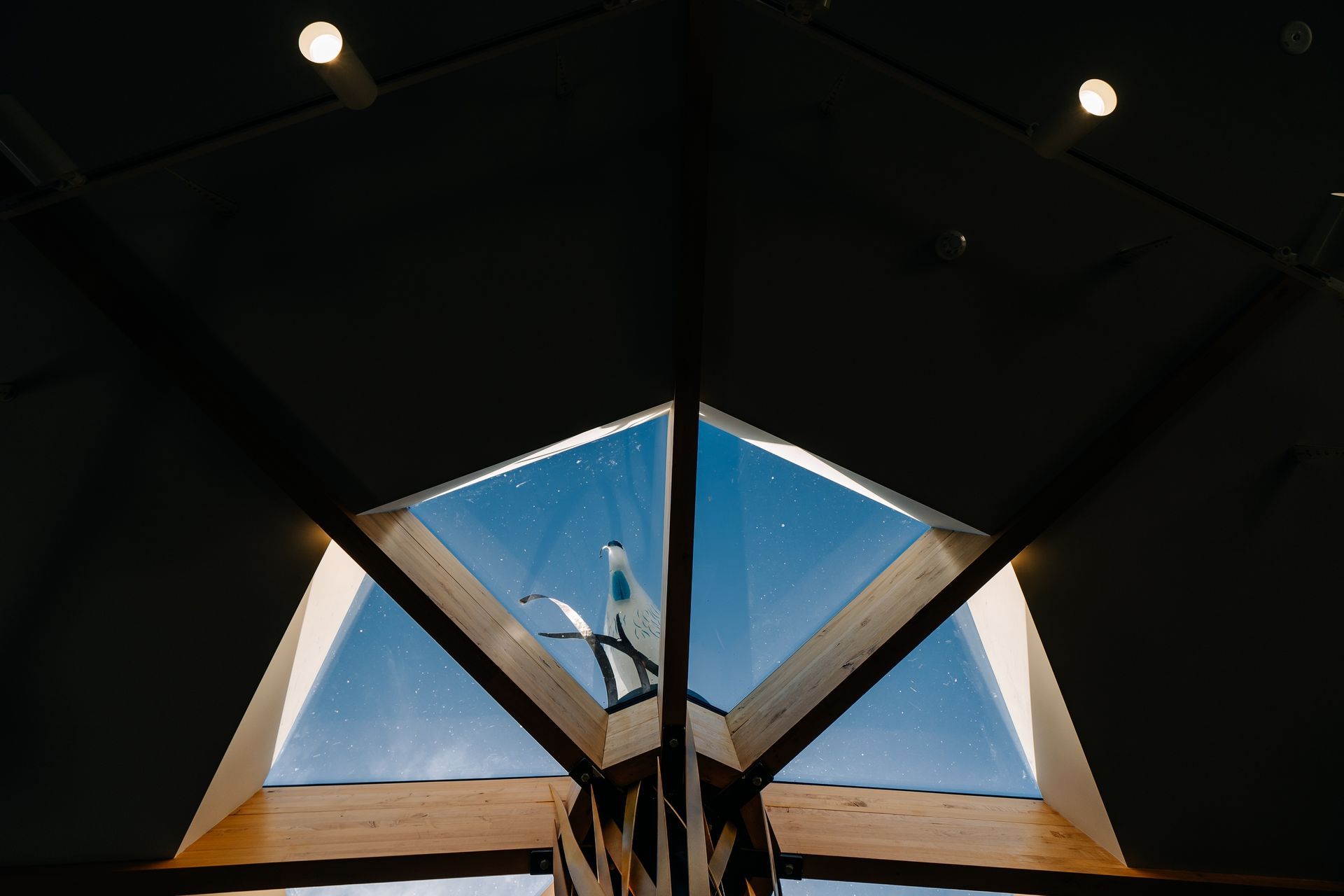 Te Hononga, Kawakawa