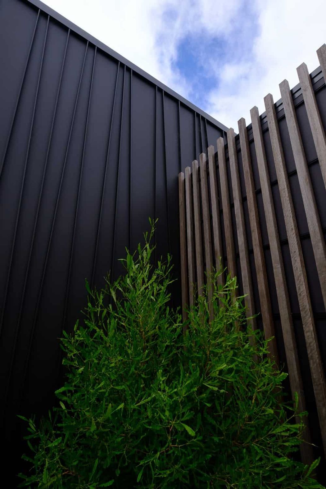 Storey-Park-Tapered-Standing-Seam-Project.jpg