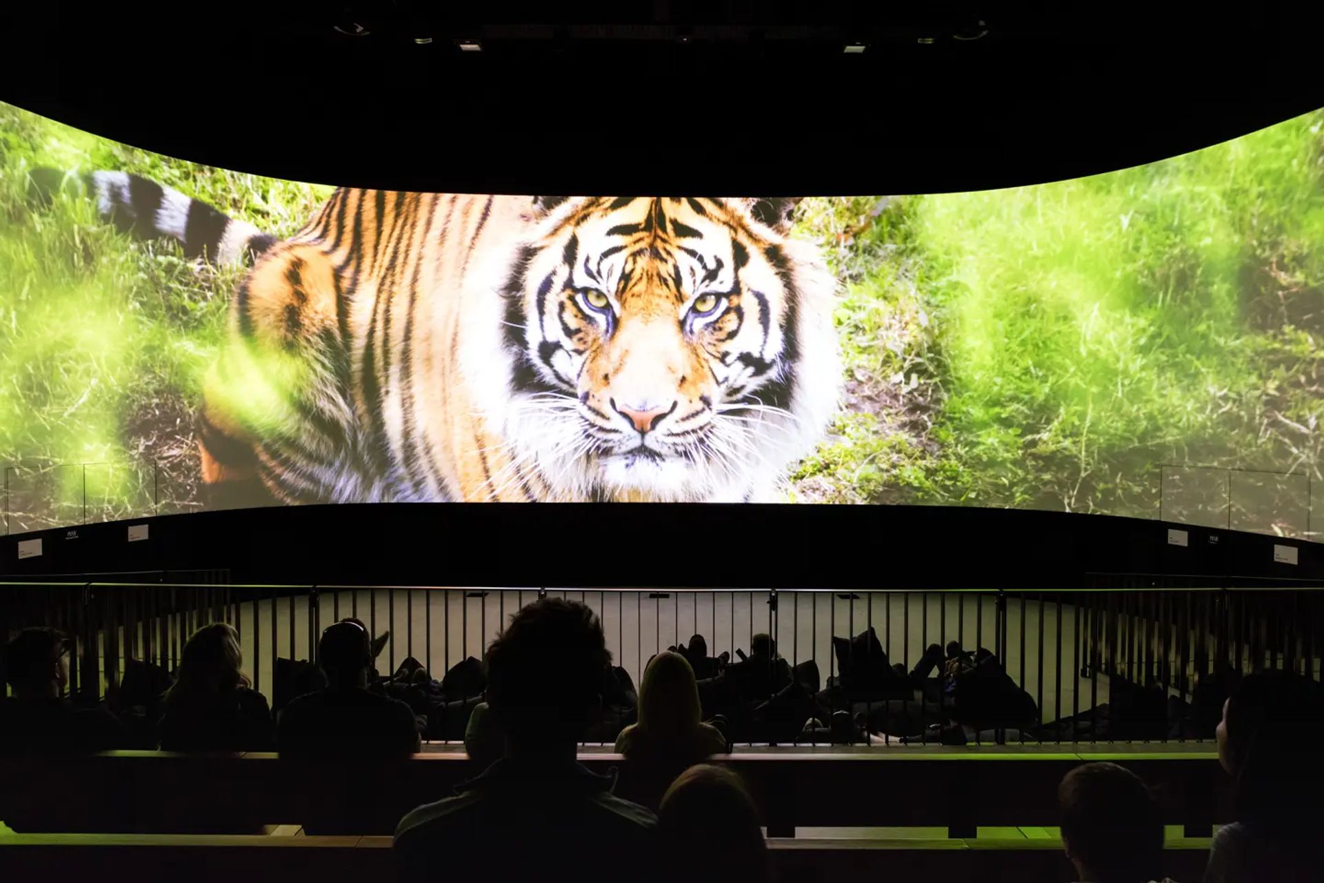 Photography: Brett Boardman