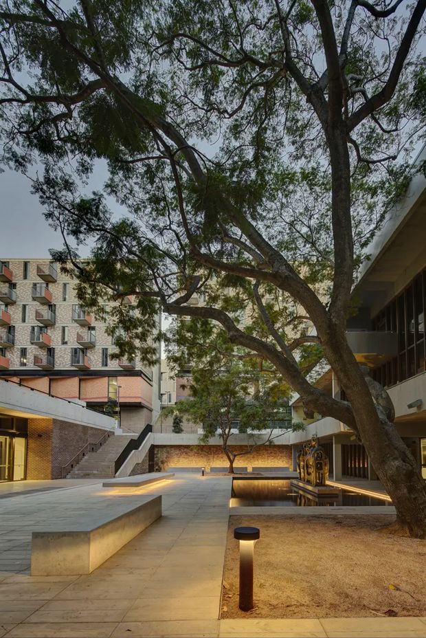 A landscaped urban courtyard framed by mature spreading trees and surrounding multi-storey buildings. The space features broad pale paved terraces, stepped access, low concrete retaining walls, warm recessed wall lighting, bollard lights, a shallow reflective water feature, and sculptural artwork. The architecture combines exposed brick, pale masonry, dark window framing, projecting balconies, and deep roof overhangs, creating a calm contemporary institutional or commercial setting.