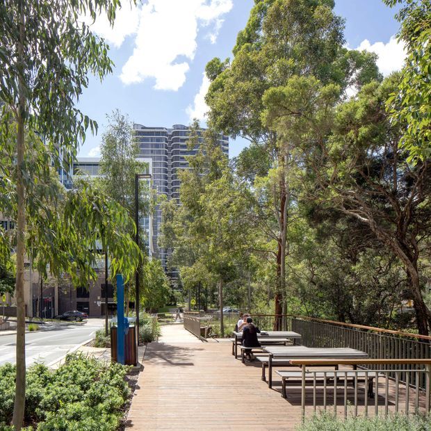 A sunny landscaped urban outdoor terrace with timber decking, long picnic-style tables and benches, and metal safety railings. Mature eucalyptus-like trees and dense planting frame a pedestrian walkway, with a multi-storey contemporary building visible beyond the trees and a city street alongside.