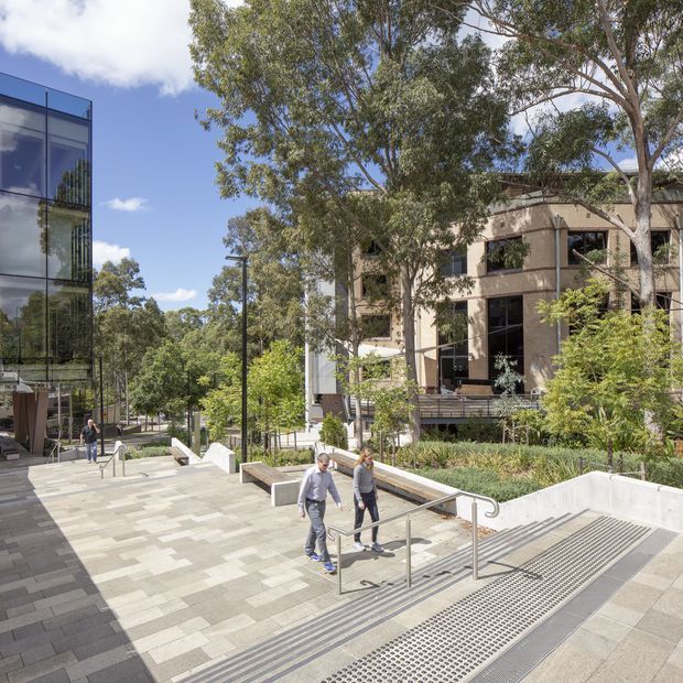 A bright landscaped urban pedestrian plaza between contemporary multi-storey buildings. Broad light-grey paved terraces and steps with stainless-steel handrails lead through planted garden beds, mature trees, and accessible ramp areas. A glazed modern building stands on the left, while a concrete and glass office-like building is visible on the right.