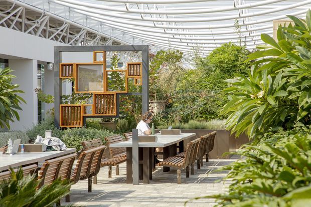 A bright, lush indoor-outdoor dining terrace beneath a large translucent curved canopy. Long communal dining tables with timber-slatted chairs sit among dense planted greenery. A contemporary building edge and a distinctive timber-framed glazed partition with decorative vertical slats are visible at the rear, creating a warm biophilic hospitality or commercial space.