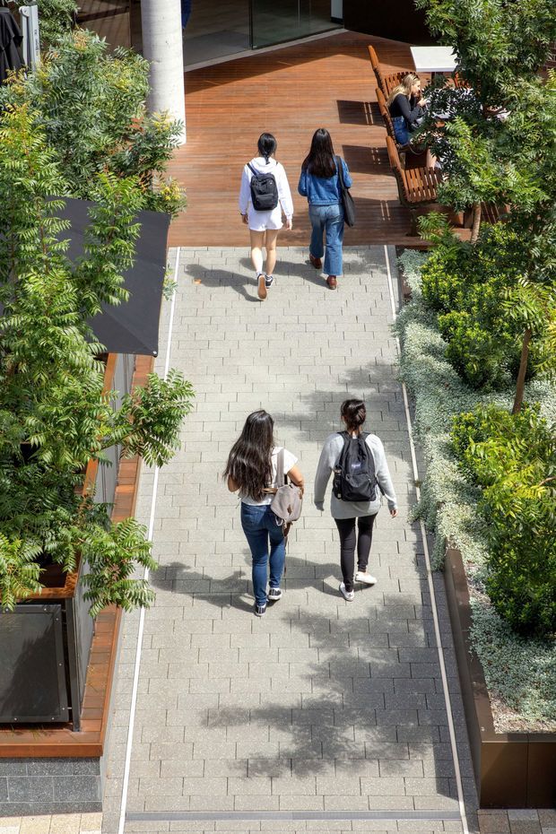 A sunlit landscaped pedestrian courtyard or walkway viewed from above. A broad grey paver path runs between dense planted garden beds and raised timber-edged areas, leading to a warm timber deck with outdoor bench seating and a glazed building entrance. Several pedestrians walk through the space.