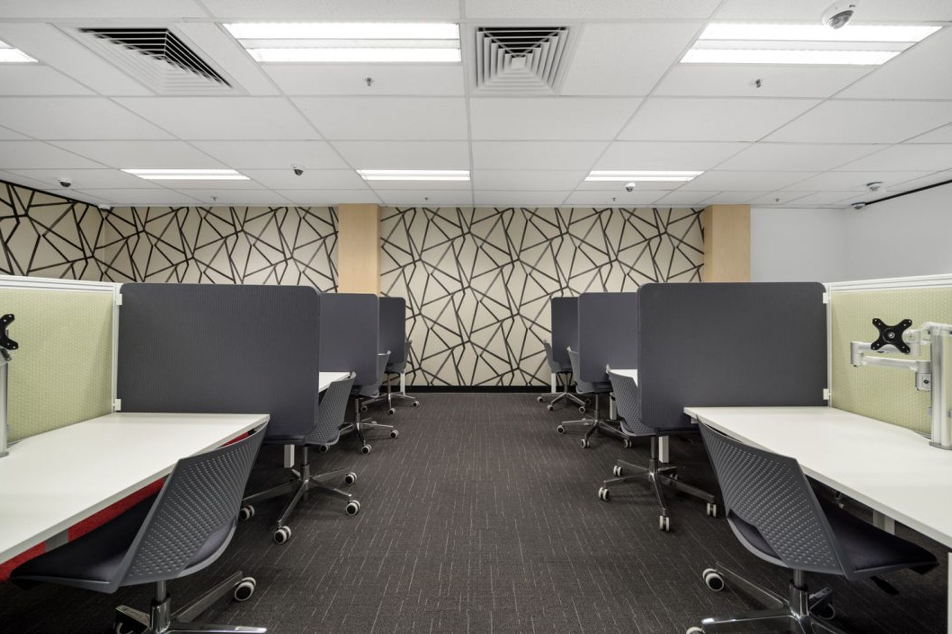 Photographer: Gallant Lee