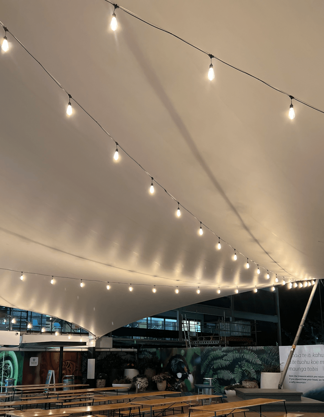 University of Auckland