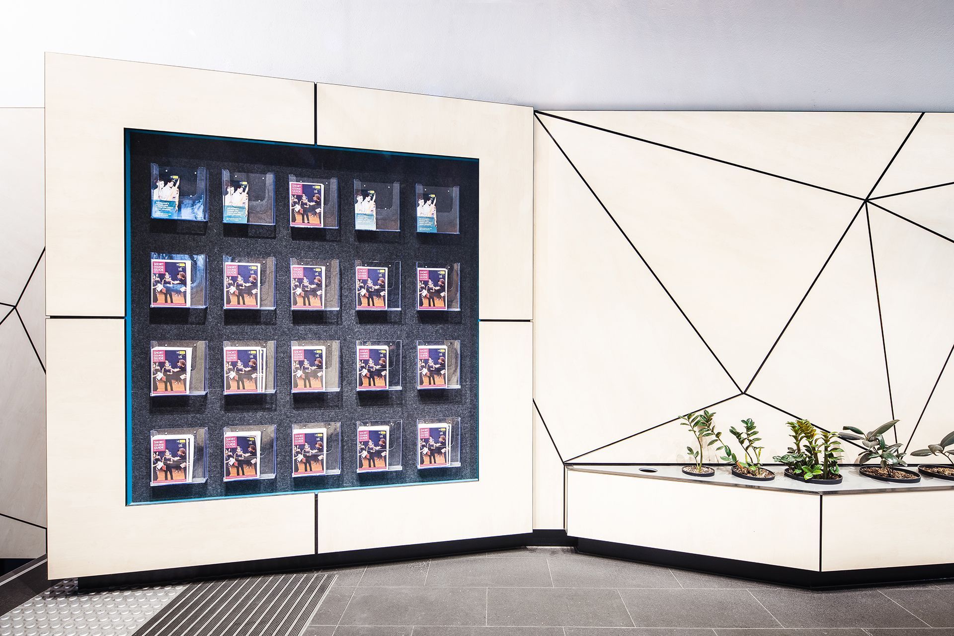 College of Adult Education (CAE)