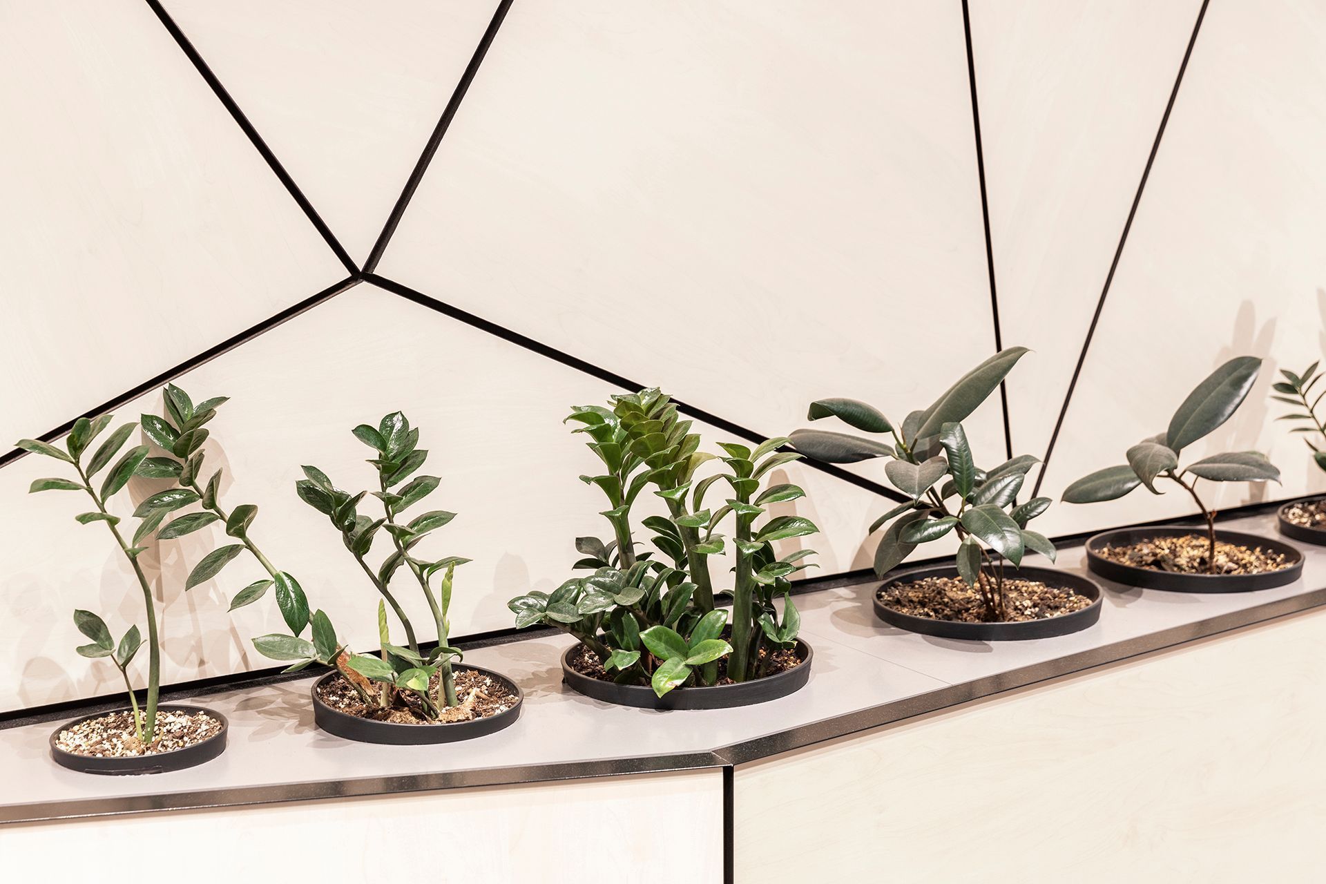 College of Adult Education (CAE)