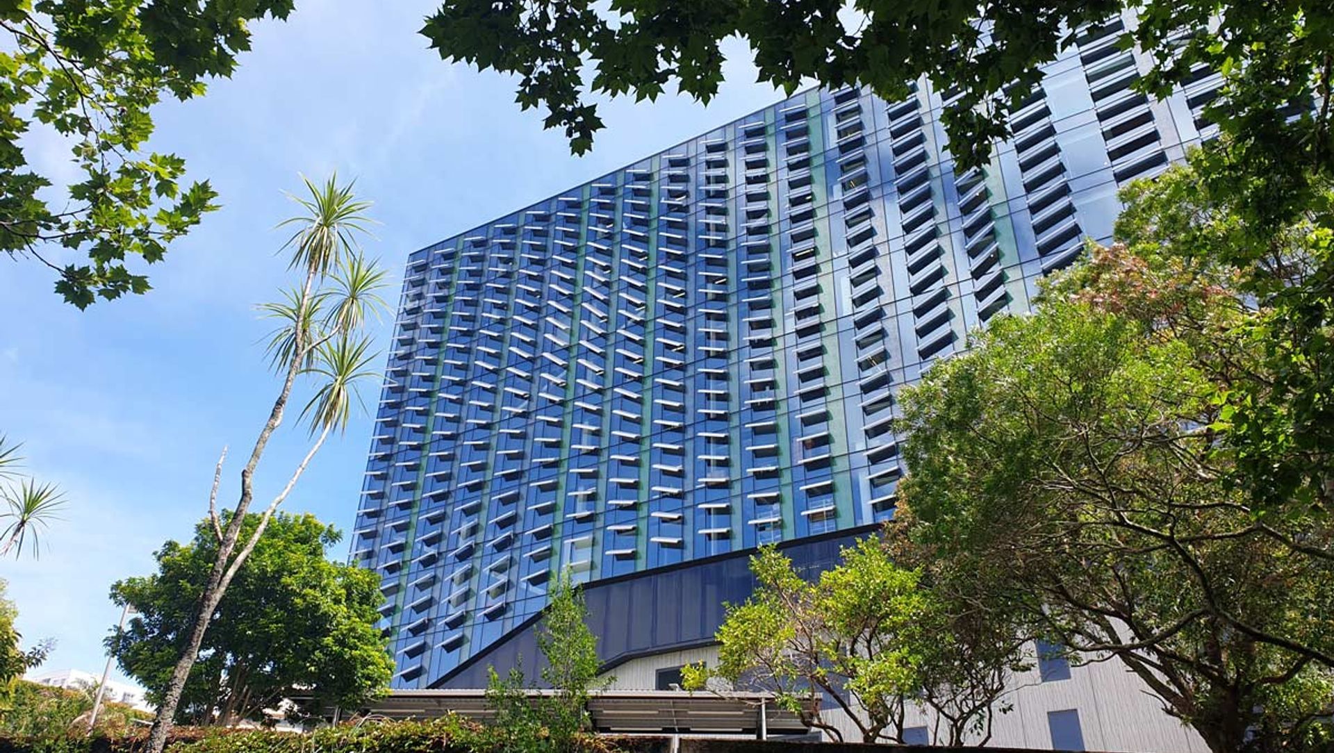 University of Auckland Building 405 banner