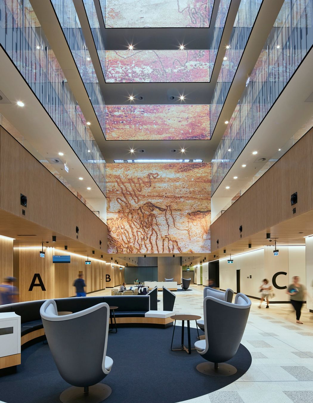 Northern Beaches Hospital