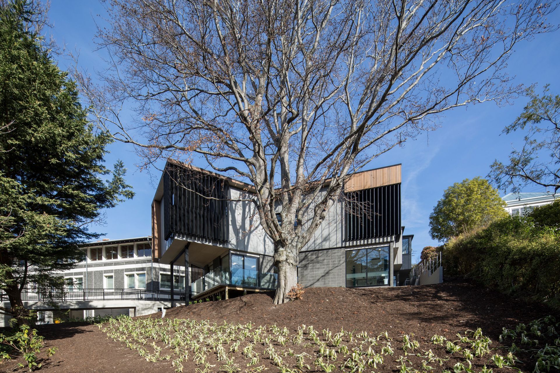 Manaaki By Mercy Hospital