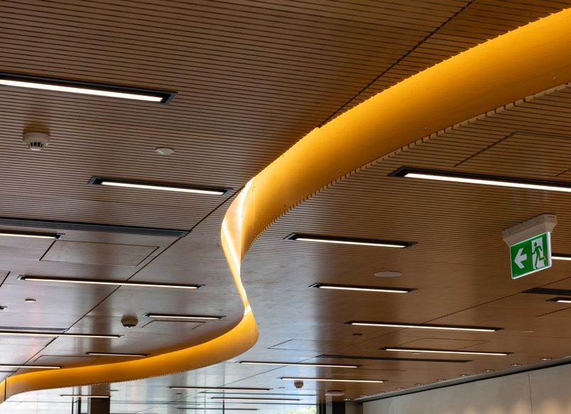 Totara Haumaru, North Shore Hospital